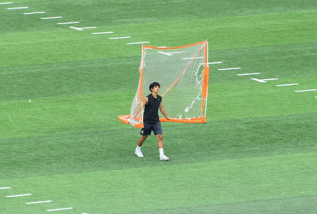 仅涉及骨骼