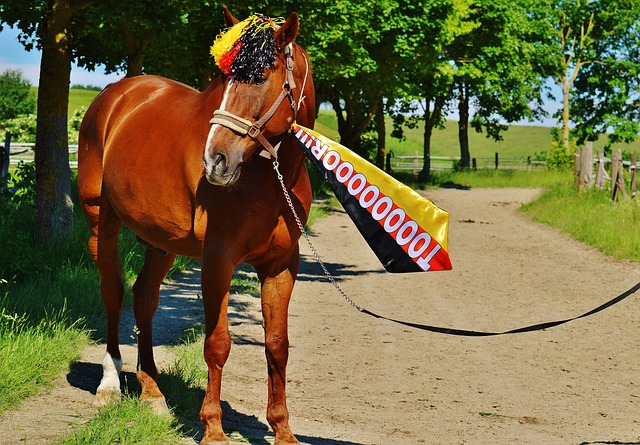 在足球比赛 在足球比赛