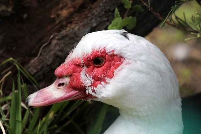 这包括在运 这包括在运