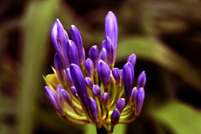 充滿期待 充滿期待